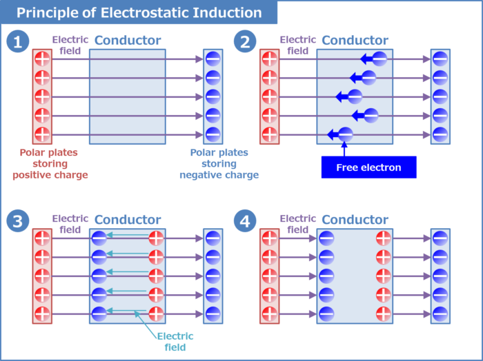 Principle of Electrostatic Induction